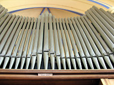 Organ Pipes