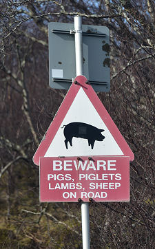 Warning Sign
