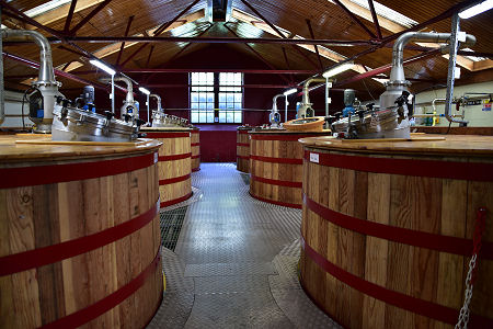 The Washbacks