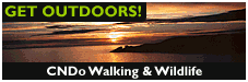 Link to CNDo Scotland