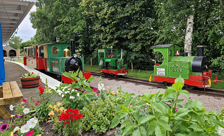 Trains at the Station