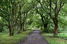 The Path from the Village